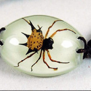FREE SHIPPING NEW REAL SPINY SPIDER GLOW LUCITE BRACELET BANGLE INSECT JEWELRY TAXIDERMY GIFT