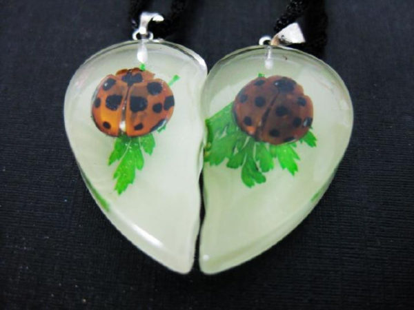 FREE SHIPPING PAIR NEW REAL LADYBUG GLOW HEART CHARMING PENDANT INSECT JEWELRY TAXIDERMY GIFT