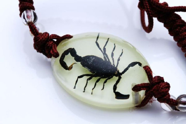 FREE SHIPPING REAL BLACK SCORPION GLOW LUCITE BRACELET BANGLE INSECT JEWELRY TAXIDERMY GIFT