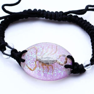FREE SHIPPING REAL GOLDEN SCORPION PURPLE LUCITE BRACELET BANGLE INSECT TAXIDERMY GIFT