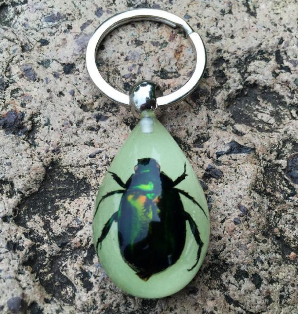 Free Shipping 16 PCS High Quality REAL NATURAL GREEN BEETLE GLOW LUCITE KEYCHAIN INSECT JEWELRY TAXIDERMY