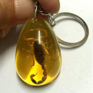 Free Shipping yqtdmy Gold Cool Scorpion Jewelry Taxidermy Gift Fashion Accessories