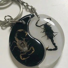 Free Shipping yqtdmy magic Insect Keychain Gold Black Scorpion Specimens Collecting JEWELRY TAXIDERMY