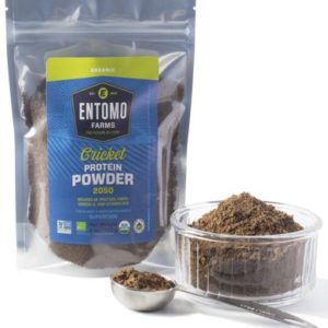 Organic Cricket Powder