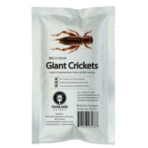 Oven Roasted Giant Crickets