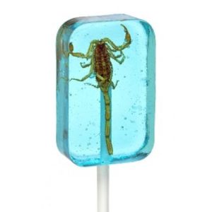 Scorpion Sucker in Blueberry