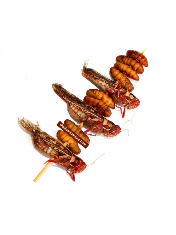 Silkworm & Grasshopper Bug Kebab