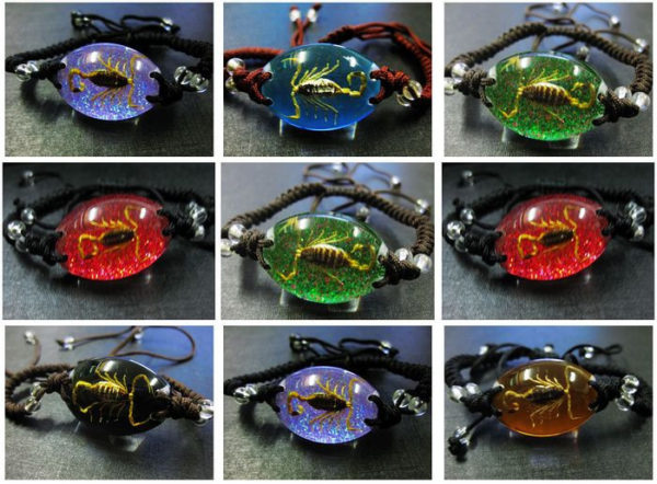 free shipping 12 PCS GOLD SCORPION KING BRACELET INSECT SPECIMEN TAXIDERMY INSECT GIFT