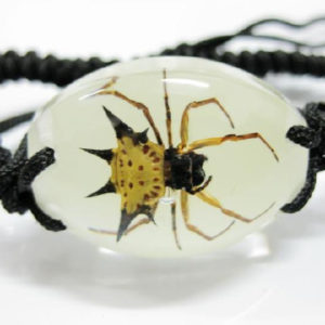 free shipping Accessories Real Insect Stinging Angle Spider Oval Bracelet Glow in dark SPECIMEN TAXIDERMY INSECT GIFT