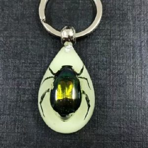 free shipping yqtdmy 15 pcs charming glow drop green beetle Taxidermy magic Keychain